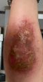 Thumbnail for version as of 13:31, 19 July 2026