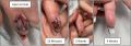 Thumbnail for version as of 10:00, 19 July 2026