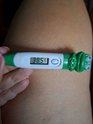 Dengue CDS Treatment 04.jpg