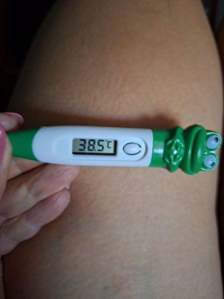 File:Dengue CDS Treatment 04.jpg