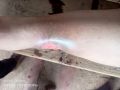 Thumbnail for version as of 19:13, 18 July 2026