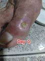 Thumbnail for version as of 23:44, 18 July 2026