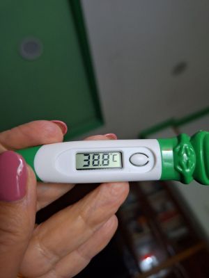 Dengue CDS Treatment 05.jpg