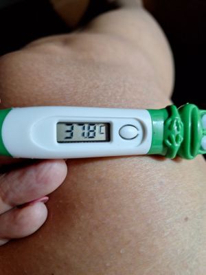 Dengue CDS Treatment 02.jpg