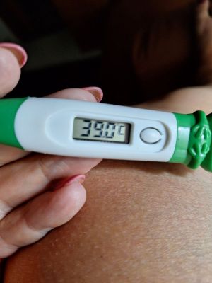 Dengue CDS Treatment 01.jpg