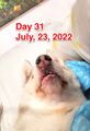 Thumbnail for version as of 20:03, 23 August 2024