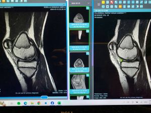 New Case 1.jpg