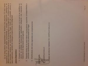 Prostate Adeno Gleason8 MRI Report 02.jpg