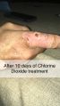 Thumbnail for version as of 01:45, 19 July 2026