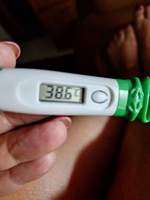 Dengue CDS Treatment 03.jpg