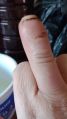 Thumbnail for version as of 21:35, 18 July 2026
