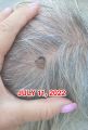 Thumbnail for version as of 10:00, 19 July 2026
