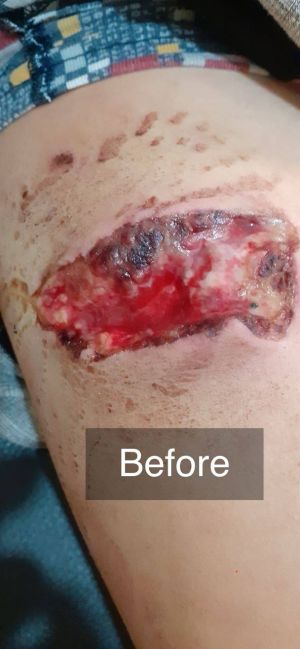 Case study severe infected dog 1.jpg